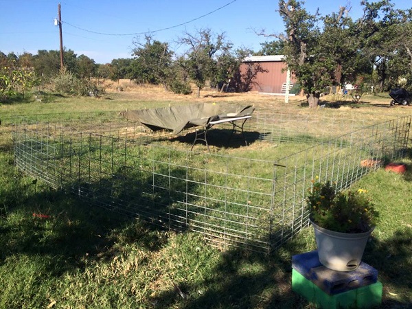 The Closest Thing to a Brooder Our New Ducks Will Ever See.